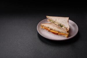 Sandwich with ham, salami, tomatoes, mustard, salt and spices photo