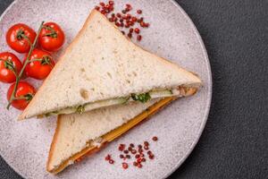 Sandwich with ham, salami, tomatoes, mustard, salt and spices photo