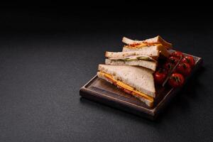 Sandwich with ham, salami, tomatoes, mustard, salt and spices photo