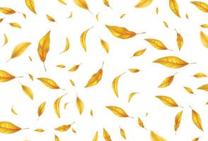 autumn leaves background vector