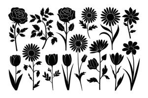 Serene Botanical Lines vector