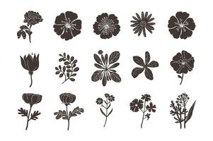 Bloom Line Elegance vector