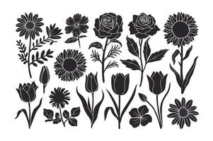 Serene Floral Linework vector