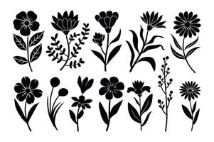 Graceful Bloom Sketch vector