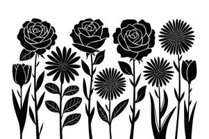 Abstract Petal Lines vector