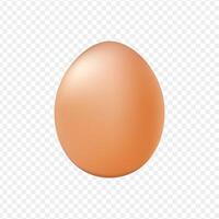 3D Realistic Chicken Eggs vector