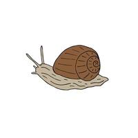 Hand drawn doodle sketch snail vector