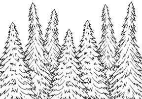 Hand drawn sketch spruce forest vector