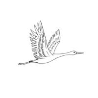 Hand drawn doodle sketch flying crane bird vector
