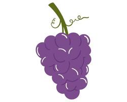 Fruit grape in cartoon hand drawn simple style. Editable variable color vector