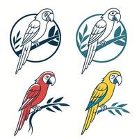 Set of Parrot illustration on branch vector