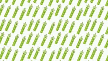 Seamless pattern with green asparagus on white background. vector