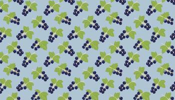 seamless pattern with black currant berries on blue background. Hand drawn illustration. vector