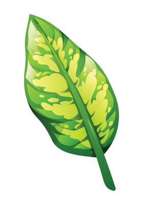 Variegated leaf with yellow and green patterns and bold, natural veins. Cartoon illustration