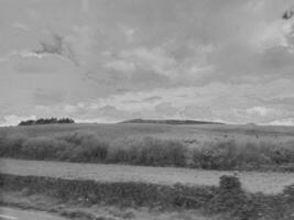 Cloudy Sky Over Grassland with Cumulus Clouds and Plants photo