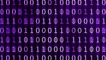 Digital Binary Code Background Purple video