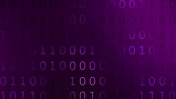 Digital Binary Code Background Dark Purple video