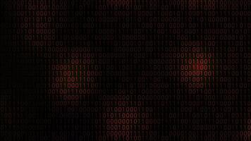 Digital Binary Code Background Dark Red video