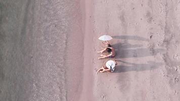 Top view of a family relaxing on the beach video