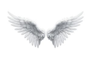 Pair of Elegant White Angel Wings on Transparent Background png