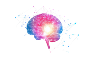 A colorful depiction of a brain, featuring vibrant patterns and connections, symbolizing neural activity and creativity. png