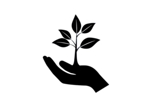 A hand gently cradles a leafy plant, symbolizing care for nature and growth. png