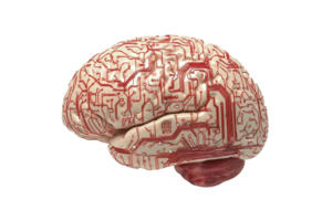 A detailed depiction of a brain with intricate red and white circuitry patterns. png