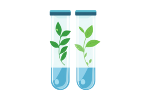 Two test tubes filled with water, each containing vibrant green leaves, representing a blend of nature and science. png