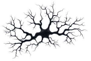 A dark, intricate network resembling tree branches or neurons, showcasing a complex structure with branching patterns. png