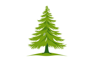 A green tree with layered branches and a sturdy trunk, symbolizing nature and resilience. png