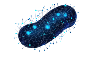 A digital representation of a peanut-shaped object interconnected with luminous nodes and lines, symbolizing networks and connections. png