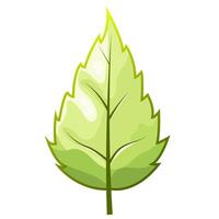 stylized green leaf icon with carved edge vector