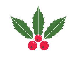Holly berry icon. Branch with red berries and green leaves. Christmas symbol. Christmas Mistletoe icon With White Background. vector