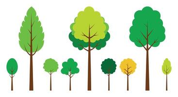Set of trees isolated on a white background. vector