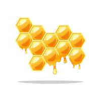 Honeycomb with dripping honey isolated on white backrgound. vector