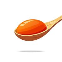 Egg yolk in a wooden spoon isolated on white background. vector