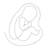 Continuous line drawing of baby, baby in the womb line vector