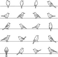 A Collection Of Birds Perched On A Wire Illustrated In Outline vector