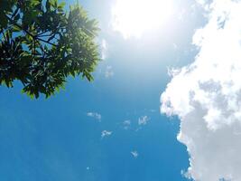 View from above the sky covered by fluffy white clouds.green trees and a cloudy blue sky photo