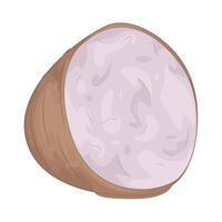 Illustration of Taro Root vector