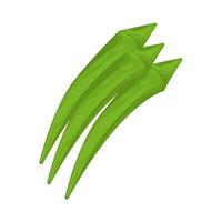 Illustration of Okra vector