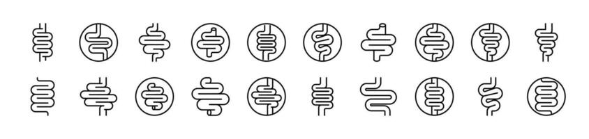 Digestion and Intestine Icon Set for UI, Placards, Books, Apps. Editable Stroke. Suitable for Web Sites, Books, Cards, Apps vector