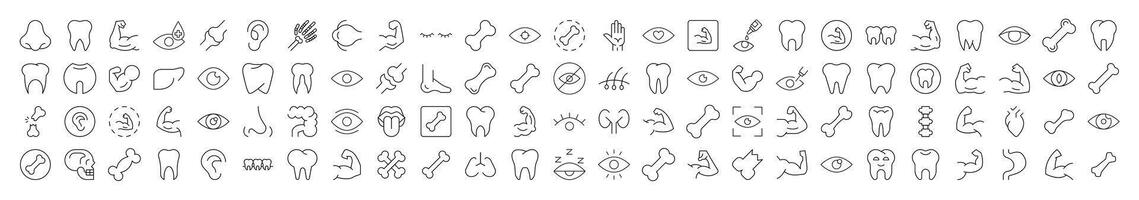 Bundles, Eye, Tooth, Muscle, Internal Organs Pictograms Drawn with Thin Line. Collection of Various Design Elements that Can Be Used for Apps, Articles, Web Sites, Social Media vector
