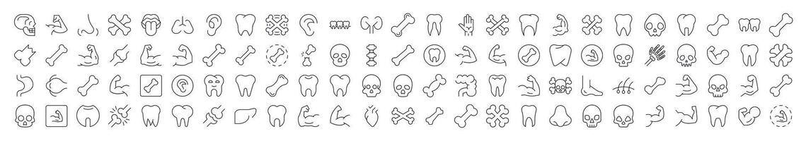 Internal Organs, Teeth and Bones Bundle of Thin Icons. Editable Stroke. Suitable for Web Sites, Books, Cards, Apps vector