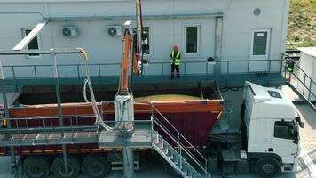 Industrial worker overseeing grain loading into a truck. An industrial scene of a worker in a high-visibility vest standing on a platform, overseeing the loading of grain into a large container on a video