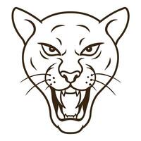 Powerful Leopard Portrait on White vector