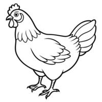 Outline of a Hen for Coloring vector