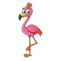 Elegant Flamingo with White Backdrop vector