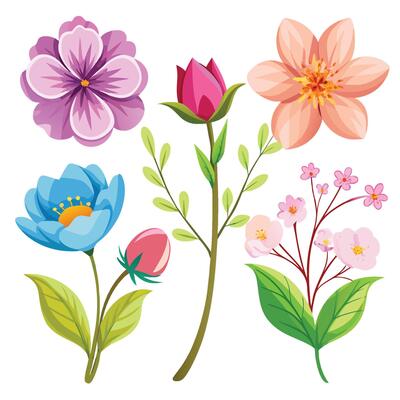 The Charm of Garden Blooms