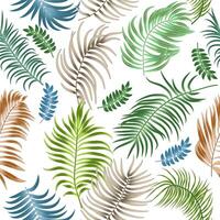 Seamless pattern with tropical leaves of palm tree on white background. Botany background, jungle wallpaper. vector